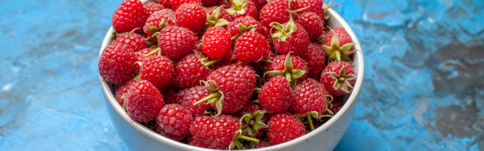 front-view-red-raspberries-inside-plate-blue-background-summer-color-berry-red-wild-tree-photo