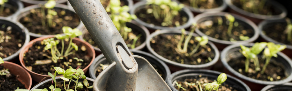 high-angle-metal-shovel-with-potted-plant